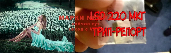 винт Верея