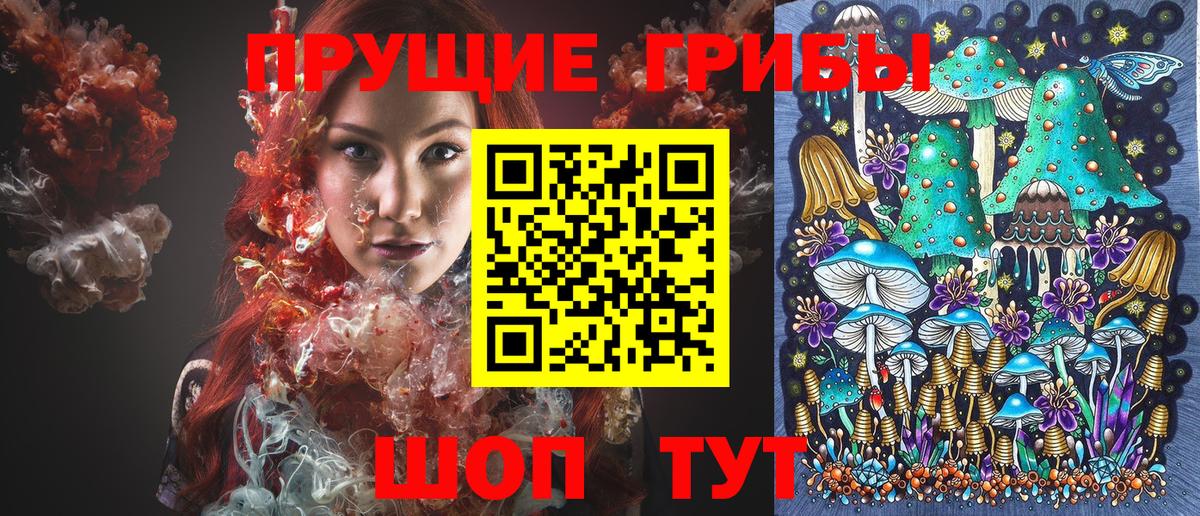 Медногорск  Псилоцибиновые грибы Psilocybe  как найти закладки  Вход с VPN 