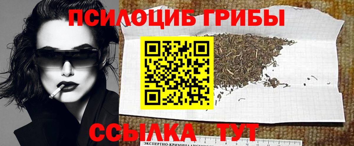 Псилоцибиновые грибы прущие грибы Медногорск