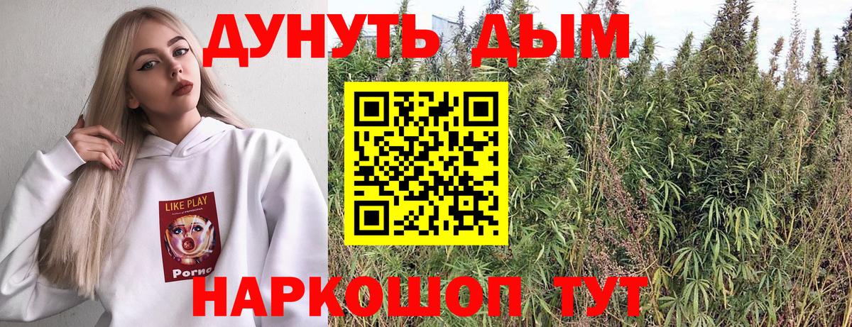 Канабис семена  Конопля план  Вход с VPN  Марихуана OG Kush  Медногорск 